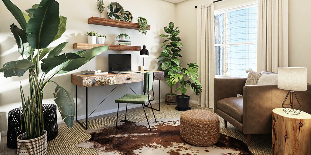 Salon plantes beija flores