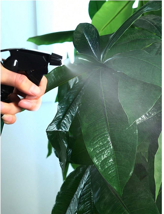 Pulverisateur / Vaporisateur Plante 24 cm – Image 3