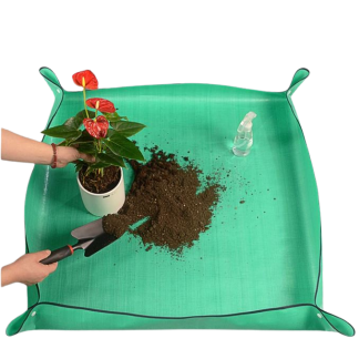 nappe beija flores