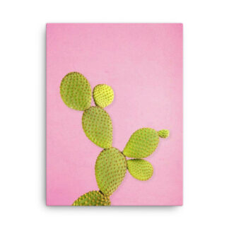 Toile sur cadre en bois et fond blanc avec un cactus sur fond rose