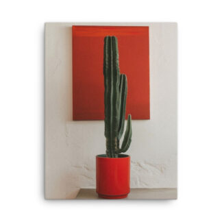 Toile Cactus club 0718