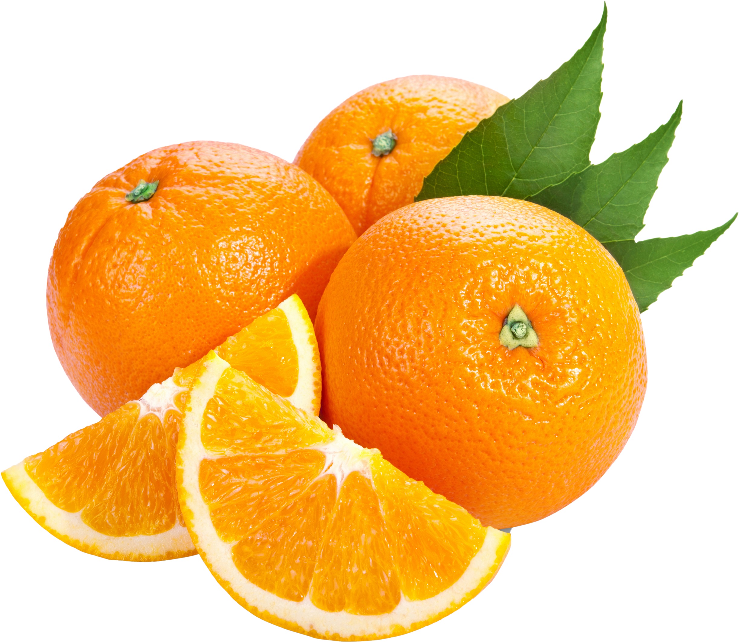 Citronnier 4saisons- Citrus limon –XXL Hauteur ↕ 130 à 180 cm - pot Ø 38 cm – Image 2